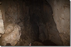Une grotte dans le parc de Cuc Phuong