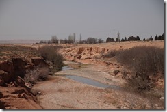 0061 - Un Oued à sec, N17, Oujda vers Figuig