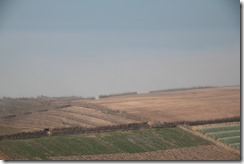 0592 - Champs dans le brouillard, Nord Safi, R301, Essaouira vers Casablanca