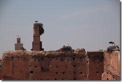 0620 - Cigognes, Palais de la Bahia, Marrakech