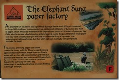 0190 - Luang Prabang, Environs Luang Prabang, Elephant Village, Explication fabrication papier dung