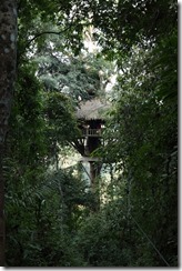 0258 - Houay Xai, Gibbon Experience, Treehouse 7, Extérieurr