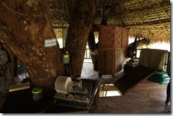 0288 - Houay Xai, Gibbon Experience, Treehouse 5